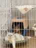 疯狂的主人圆形猫抓板窝耐磨不掉屑猫窝一体猫咪抓盆大号抓不烂猫爪板耐抓 实拍图