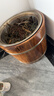 京东物流 泡脚桶木桶足浴桶家用木质洗脚盆过脚桶按摩足浴盆碳化 碳化26cm单边+足浴粉 实拍图