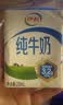 四洲原味虾条110g 膨化食品非油炸休闲零食小吃 实拍图