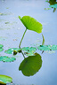 适马（SIGMA）16-300mm f3.5-6.7 DC OS ｜Contemporary 半画幅 远摄变焦镜头 旅游风光人像（索尼E卡口） 实拍图