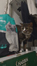 力狼 猫条猫零食 成幼猫通用宠物猫咪零食猫湿粮 鲜肉混合口味猫条15g*10支 实拍图
