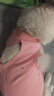 欢宠网宠物猫咪绝育服猫手术服母猫衣服断奶术后恢复幼小猫猫透气防舔衣 实拍图