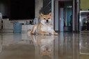 松下S5M2K+（50mm F1.8）白盒  双镜头套装 全画幅微单相机 约2420万有效像素 相位混合对焦 实拍图