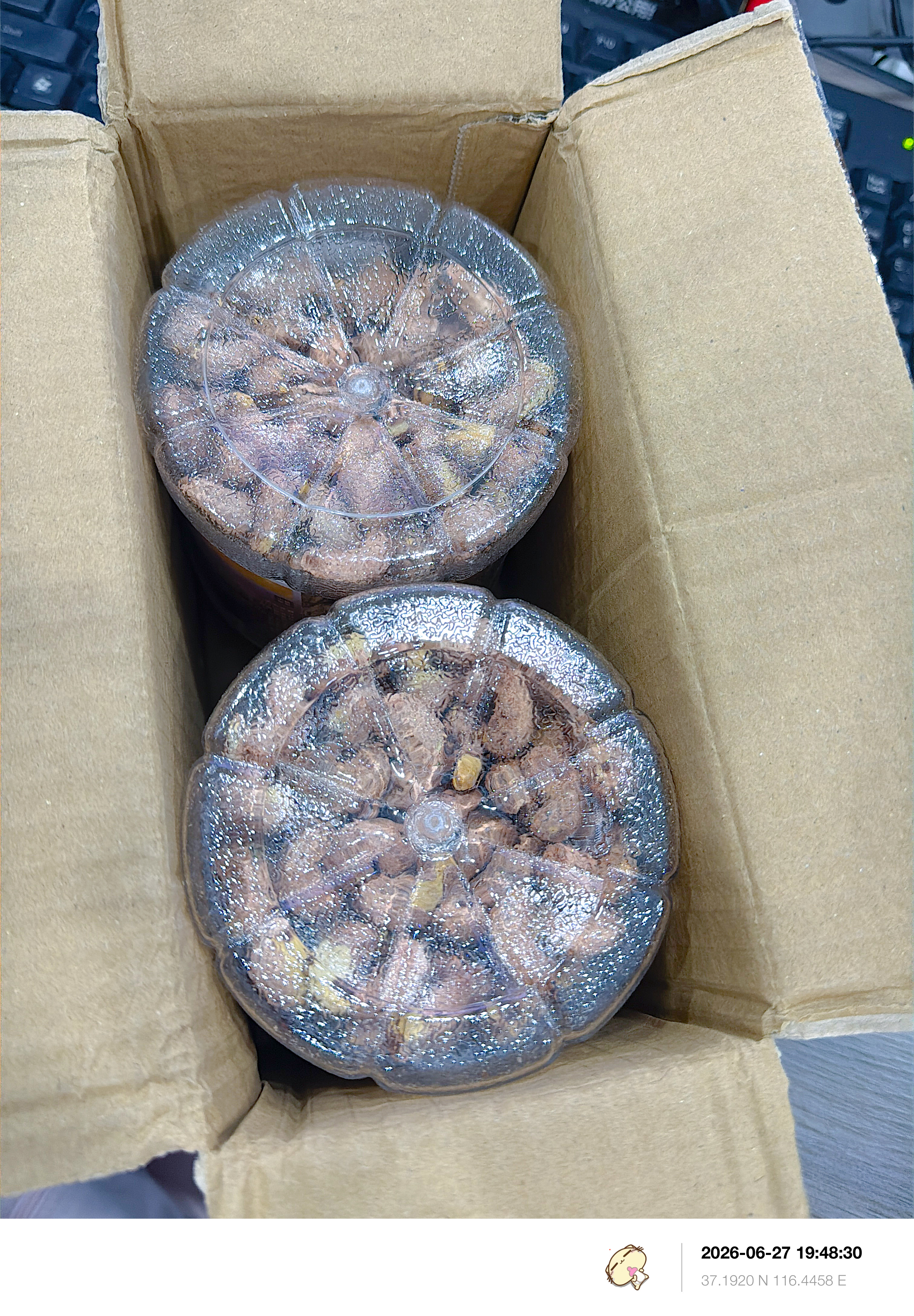 带皮腰果紫皮大颗粒500g克含罐盐焗腰果仁越南特产零食新货坚果干 带皮腰果500g*2大罐 实拍图