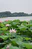 适马（SIGMA）16-300mm f3.5-6.7 DC OS ｜Contemporary 半画幅 远摄变焦镜头 旅游风光人像（RF卡口） 实拍图
