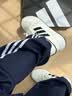 阿迪达斯（adidas）男鞋板鞋男运动鞋子男夏季男士透气运动鞋滑板鞋经典户外休闲鞋 JR5231【官方正品 假一罚十】 42 实拍图