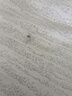 无印良品沙发盖布巾雪尼尔防滑沙发盖垫防猫抓全包套罩毯奶油白180*460cm 实拍图
