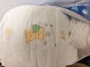 泰迪熊（Teddy Bear）亲肤纸尿裤L70片(9-14公斤)婴儿宝宝尿不湿 超薄透气 敏感肌 实拍图