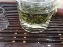 福茗源台湾冻顶乌龙茶叶 2026新茶高山茶冷泡茶叶自己喝口粮茶袋装500g 实拍图