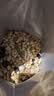 家乐氏（Kellogg）进口谷维滋2盒装310g*1+175g*1儿童营养谷物麦片谷物脆即食早餐 实拍图