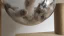 唐米吉吉加粗大型猫爬架猫窝猫树一体太空舱猫架子小户型不占地剑麻猫玩具 【实木板材+实木柱】132cm海盗船 实拍图