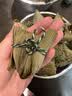 双喜高压锅燃气明火专用防爆家用商用大容量双耳压力锅双阶30CM/15L 实拍图