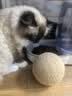 HELLOJOY猫玩具剑麻球超大号猫咪自嗨解闷神器耐咬球逗猫玩具 米色12CM 实拍图