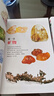 宝石图鉴+矿物与岩石图鉴（全2册） 实拍图