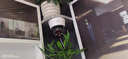 CONRING监控器360度无死角带夜视摄像头吸顶吊装家用无线云台旋转半球监控器室内入户门口楼道电梯 4G续航-无需网络【远程旋转+语音对讲+智能监测】 15天回放 实拍图