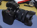 松下（Panasonic）【官方直营】S5M2/S5二代 全画幅微单相机 L卡口 直播 五轴防抖 相位混合对焦 实时LUT 6K视频拍摄 S5M2K丨20-60mmF3.5-5.6原封套机 实拍图