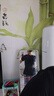 背背佳新E矫姿带端正背部姿势护腰带成人男女挺拔开肩XXL-618 实拍图