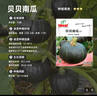 ldeal理想农业 贝贝南瓜种子甜面糯板栗味高产杂交种正宗贝贝南瓜种籽 实拍图
