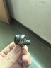 HIFIMAN（海菲曼）Svanar Wireless 2 天鹅二代真无线 主动降噪蓝牙耳机 入耳式无线耳机 大鹅二代 实拍图
