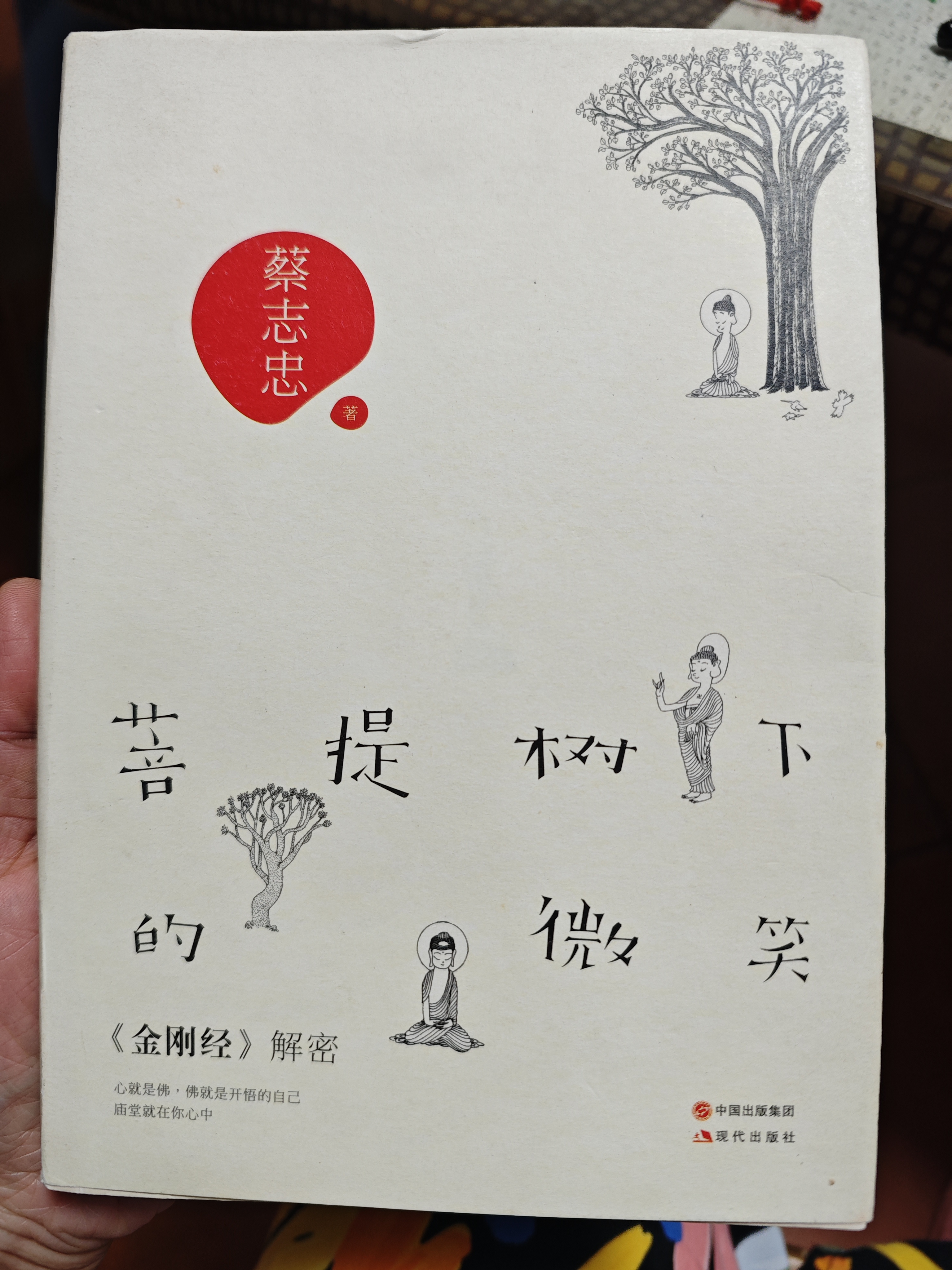 菩提树下的微笑-金刚经解密 蔡志忠 著 现代出版社 实拍图