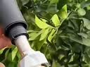 农宝 打药机动喷枪农用果树园林施肥高压洗车冲洗手枪式喷雾枪喷头 实拍图
