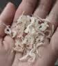 湾琴河金钩海米100g 虾仁干 虾米干虾皮海鲜特产干货煲汤火锅食材 实拍图