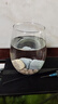 派乐特 细菌屋益菌屋鱼缸过滤材料水族箱养鱼净水培养硝化菌配件用品 实拍图