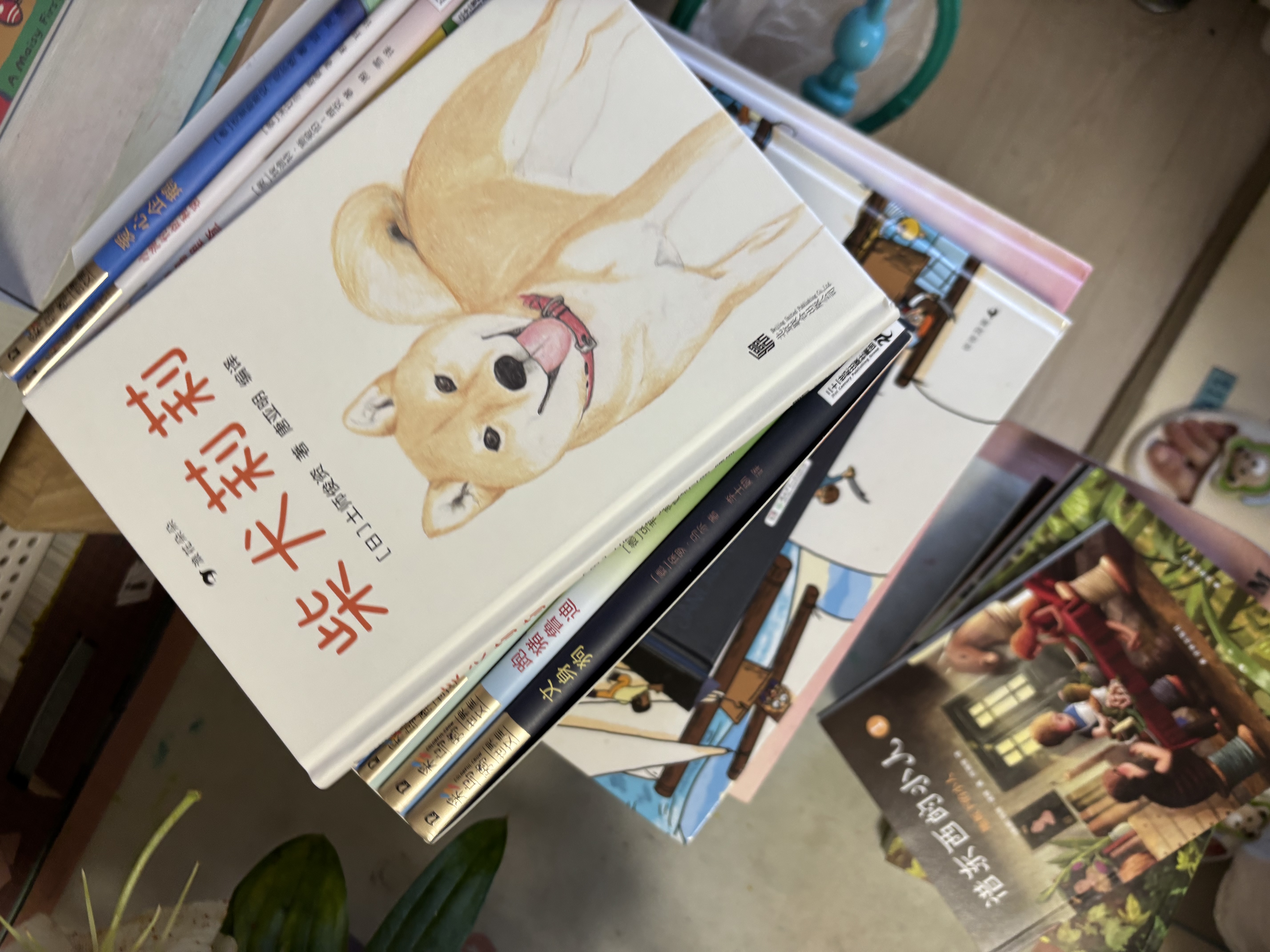 彩乌鸦世界文库·霓之辑（10册） 儿童文学 低年级+中年级阅读 暑期阅读 6-12岁 实拍图