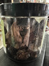 福东海 三蒸三晒青皮无花果干120g 新疆特产无添加孕妇黄体酮即食煲汤 实拍图
