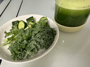 九阳（Joyoung）【重磅上新】榨汁机轻食果汁杯果蔬汁冰沙料理机小型无线便携榨汁机1L吨吨桶PL1567【价保618】 实拍图