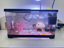 独宠你鱼缸小型客厅生态造景过滤制氧一体缸桌面金鱼缸水族箱中号黑色 实拍图