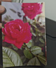 佳能（Canon）G3810大容量可加墨彩色多功能无线一体机（打印/复印/扫描/作业打印/微信远程WiFi 学生/家用） 实拍图