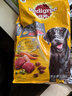 宝路狗粮老年犬狗粮 牛肉味1.8kg全犬种通用老年犬狗粮全价粮  实拍图