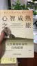 心智成熟之旅：人生重要阶段的自我超越 原书第2版 实拍图