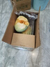 伊利金领冠育护幼儿配方奶粉3段12-36个月900g*1罐【5倍DHA好脑力】 实拍图
