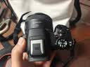 佳能（Canon）r50入门微单相机 小痰盂人像镜头 Vlog拍摄 4K高清视频 自拍照相 学生旅行家用 扫街旅拍套装 实拍图