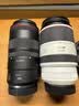 佳能（Canon）RF100mm F2.8 L MACRO IS USM 远摄微距镜头 大光圈定焦 微单镜头 滤镜防护套装 实拍图