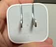Apple/苹果 40W type-c快充充电器 苹果usb-c原装充电头 旗舰店新款苹果iPhone 17 Pro Max充电器 实拍图