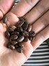 京东京造 蓝调之境咖啡豆500g蓝山风味咖啡100%阿拉比卡中度烘焙 实拍图