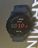 佳明（GARMIN）Forerunner255神秘灰心率跑步铁三户外运动智能手表生日礼物 实拍图