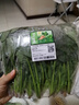 【24小时菜】菠菜苗250g(长度≤20cm) 实拍图