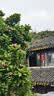 清扬男士去屑洗发水 冰海净透650g青少年专属薄荷清爽去油 开学季 实拍图