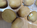 佳沛（zespri）新西兰金果原箱 16粒巨无霸 单果约204-233g 端午节礼物水果礼盒 实拍图