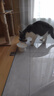 卫仕 膳食全价全阶段猫粮 成猫幼猫营养均衡天然猫粮试吃 200g 实拍图