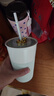 星巴克（Starbucks）薄荷绿陶瓷吸管杯600ml皇冠杯盖大容量水杯子咖啡杯节日礼物 实拍图