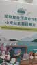 洁西 小宠益生菌 兔子肠胃宝龙猫荷兰猪日常保健豚鼠仓鼠营养补充10包 实拍图