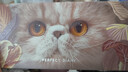 完美日记（PERFECT DIARY）探险家12色眼影盘09猫咪14g大地色粉质细腻生日礼物女 实拍图