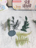 威尔基干花材料手工diy制作松果材料包永生花装饰真干果树叶天然植物叶 树叶植物花材盒【随机一盒装】 实拍图