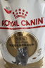 皇家猫粮 英短成猫粮 BS34 通用粮 12月以上 10KG 实拍图