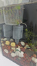 森森（SUNSUN）鱼缸过滤器壁挂式外置过滤泵水族箱过滤器HBL HBL-302 3W 实拍图